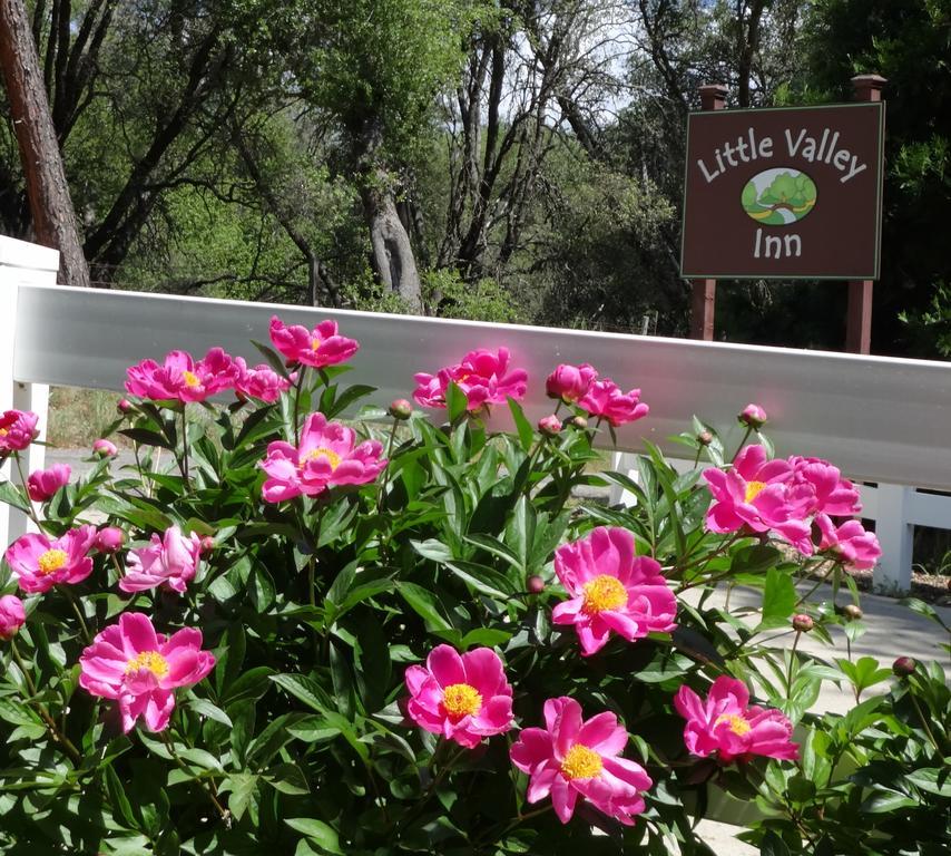 Little Valley Inn Μαριπόζα Εξωτερικό φωτογραφία