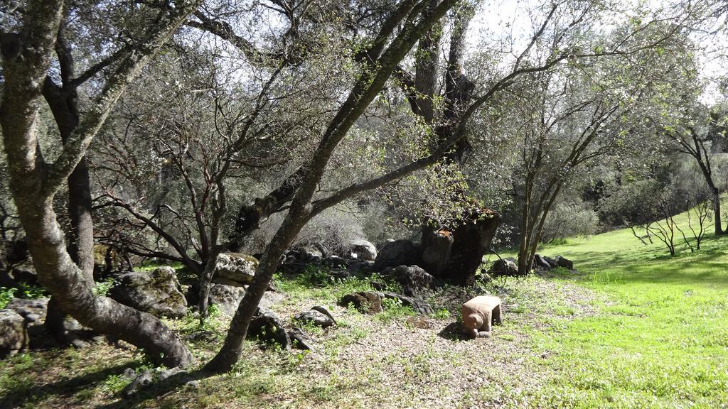 Little Valley Inn Μαριπόζα Εξωτερικό φωτογραφία