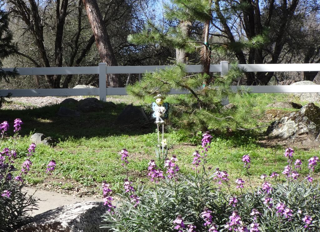 Little Valley Inn Μαριπόζα Εξωτερικό φωτογραφία